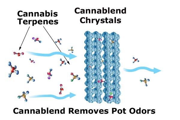 Cannabis Odor Removal Illustration